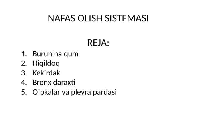 Nafas olish sistemasi