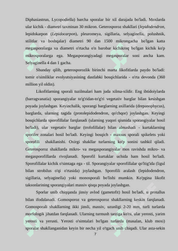 Plauntoifa – lycopodiophyta bo‘limi 7