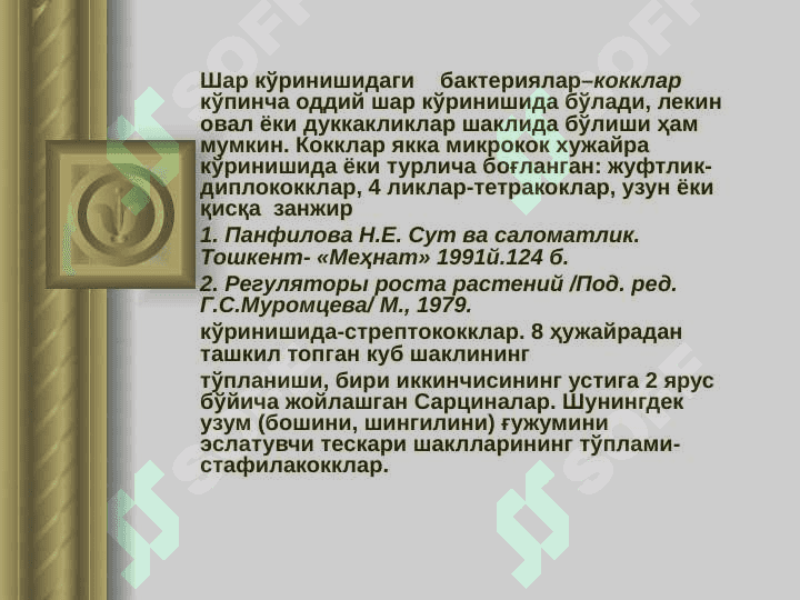 БАКТЕРИЯЛАРНИНГ КЎПАЙИШИ 3