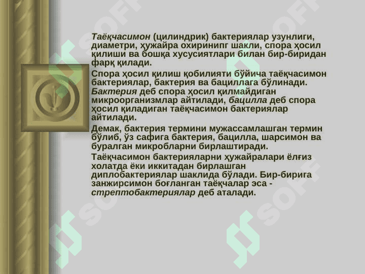БАКТЕРИЯЛАРНИНГ КЎПАЙИШИ 4