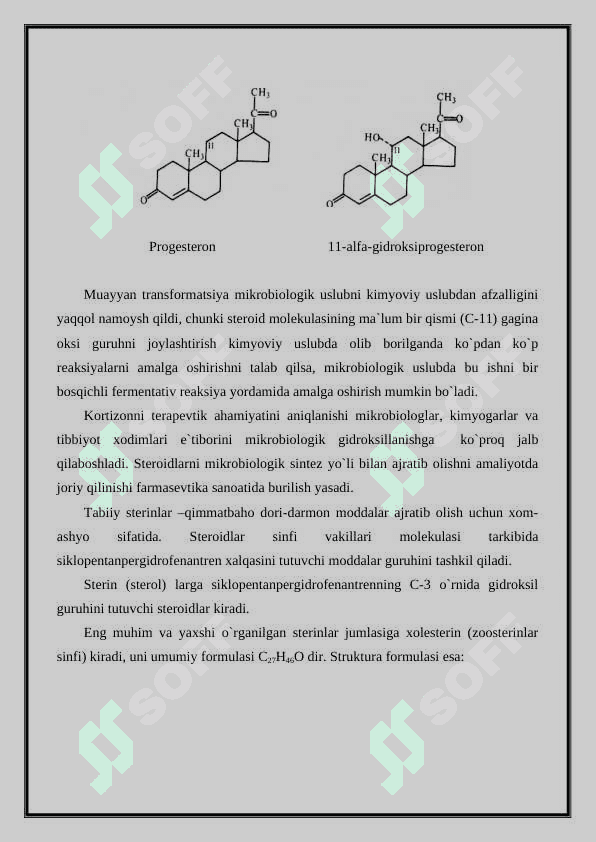 Organik moddalarni mikrobiologik transformatsiyalash va ularni qaytarilishini biotexnologik uslublari 4