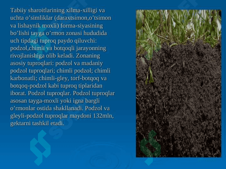 Tayga-o‘rmon zonasining tuproqlari, botqoq tuproqlar. O’rmon-dasht va dasht zonasining qora tuproqlari 4