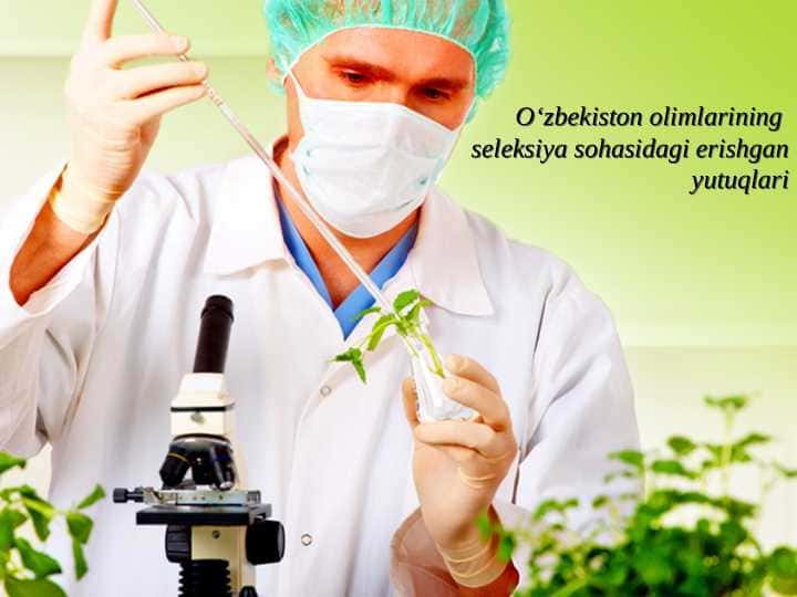 O‘zbekiston olimlarining O‘zbekiston olimlarining seleksiya sohasidagi erishgan yutuqlaribiologseleksiya sohasidagi erishgan yutuqlari