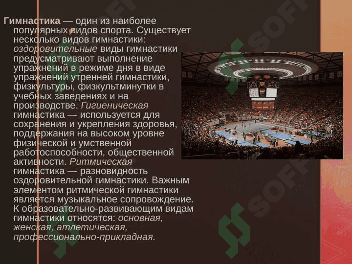 Гимнастика 2