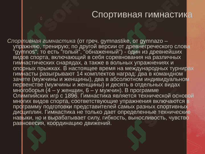 Гимнастика 4