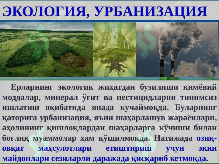 Yashil iqtisodiyot 8