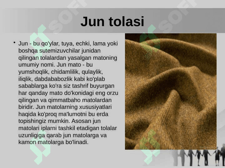 Jun tolali matolar assortimenti 2