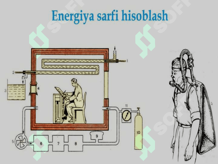 MODDALAR VA ENERGIYA ALMASHINUVI 4