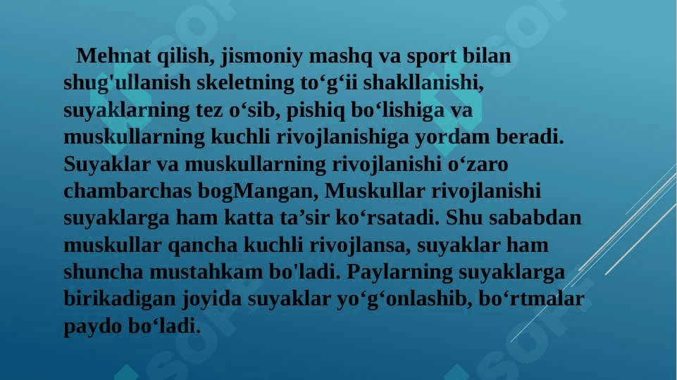 Muskullarning rivojlanishi,  odam qad-qomatining  shakllanishi 3