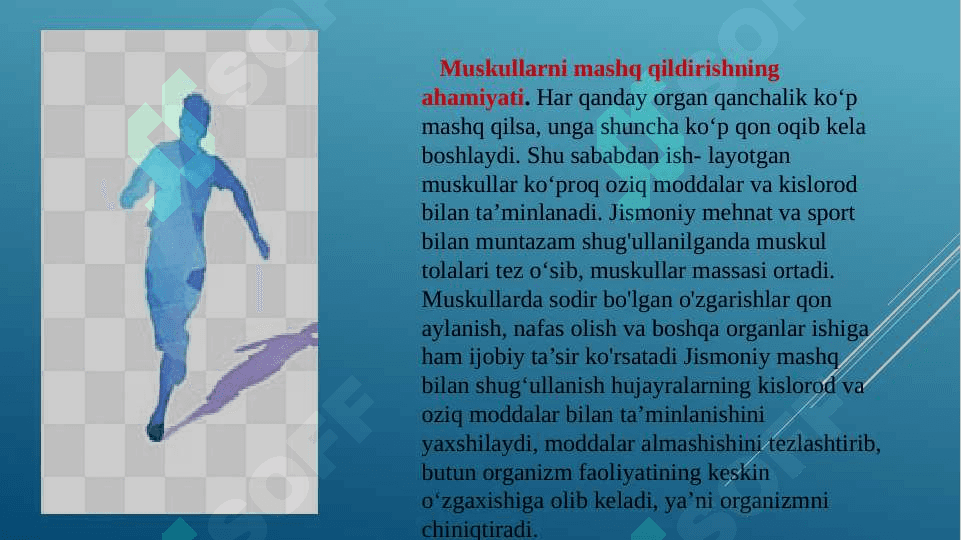 Muskullarning rivojlanishi,  odam qad-qomatining  shakllanishi 4