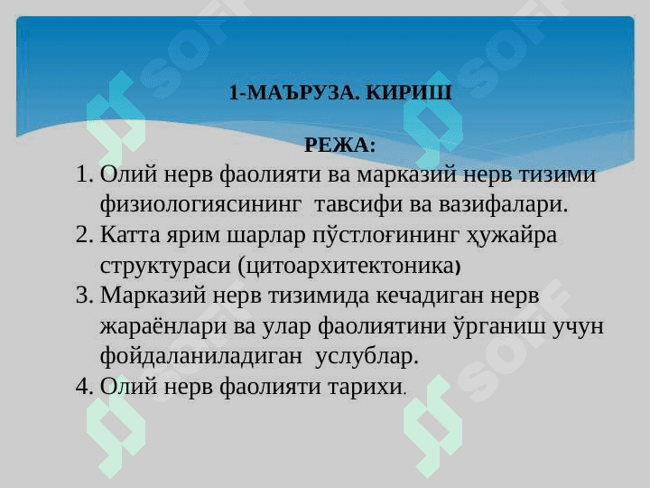 OLIY NERV SISTEMASI HAQIDA TUSHUNCHA 2