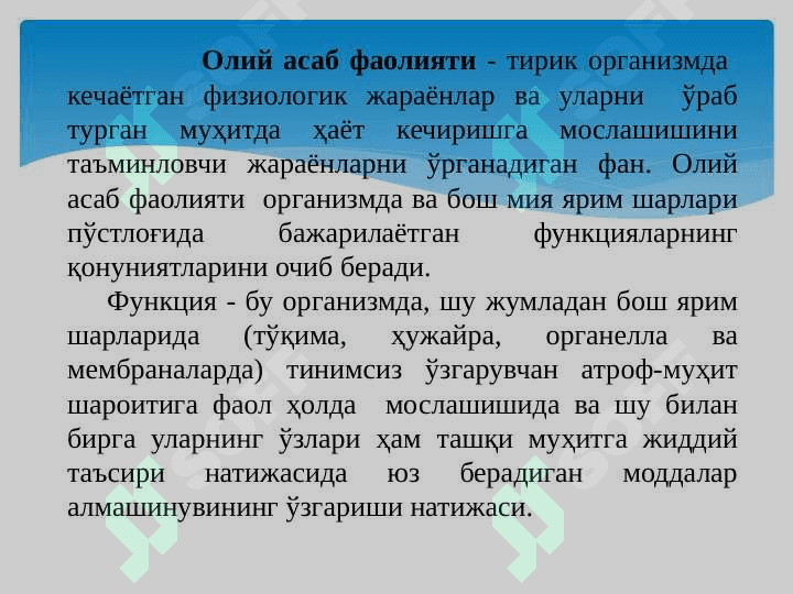 OLIY NERV SISTEMASI HAQIDA TUSHUNCHA 3