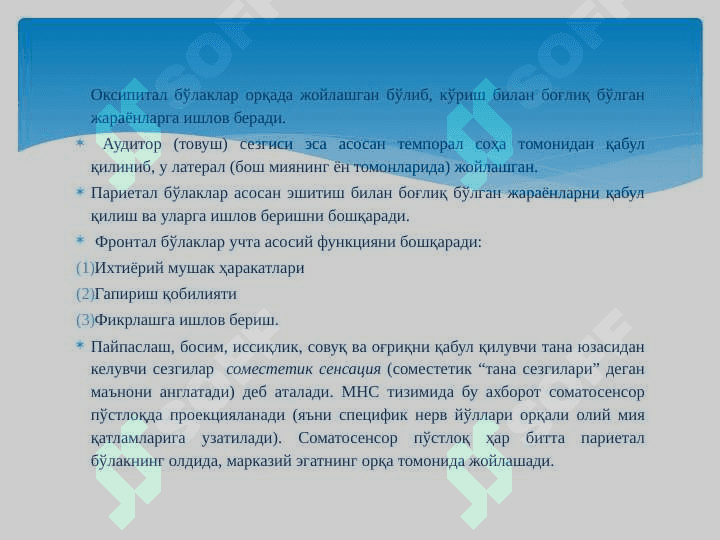 OLIY NERV SISTEMASI HAQIDA TUSHUNCHA 7