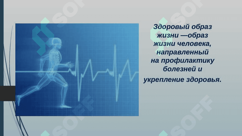 Здоровый образ жизни залог успеха 3