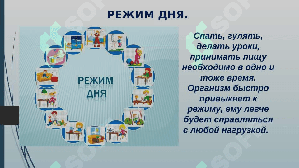 Здоровый образ жизни залог успеха 4