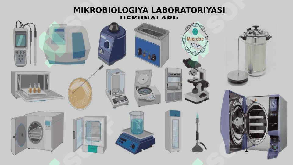 MIKROBIOLOGIYA TADQIQOTLARINING ASOSIY USULLARI 4