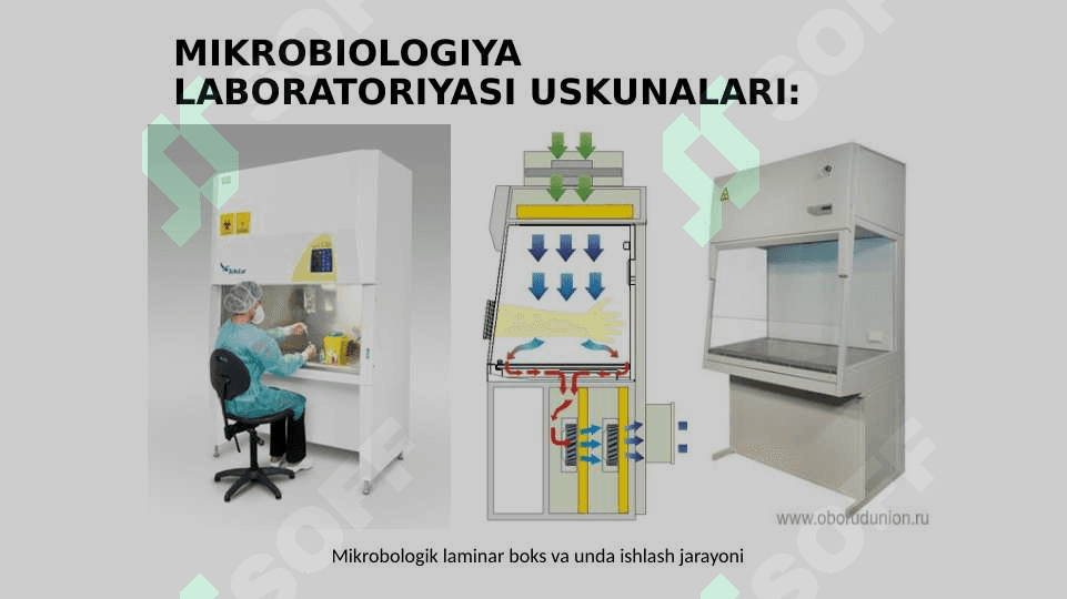 MIKROBIOLOGIYA TADQIQOTLARINING ASOSIY USULLARI 5