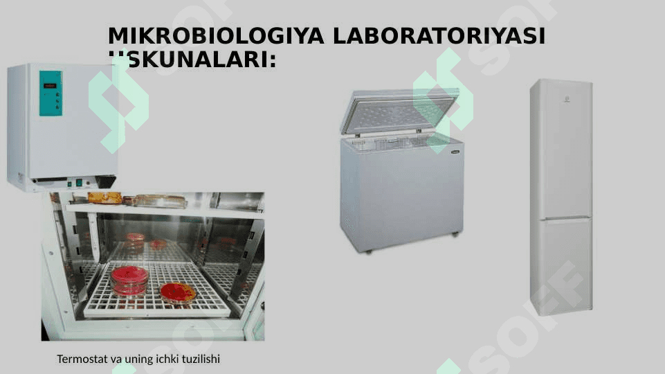 MIKROBIOLOGIYA TADQIQOTLARINING ASOSIY USULLARI 6