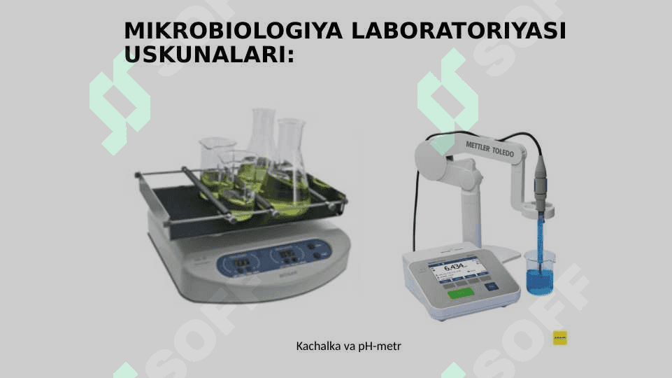 MIKROBIOLOGIYA TADQIQOTLARINING ASOSIY USULLARI 8