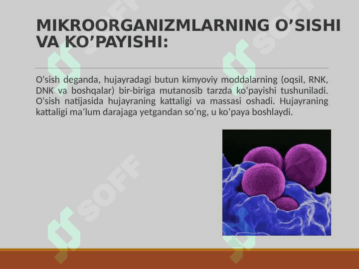 MIKROORGANIZMLARNING O’SISHI VA RIVOJLANISHI 4