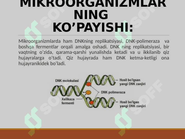MIKROORGANIZMLARNING O’SISHI VA RIVOJLANISHI 7