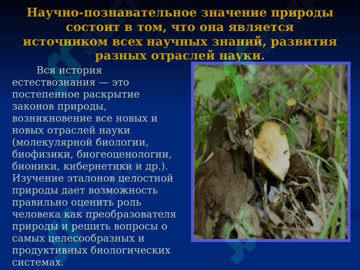 Природа и человек 6