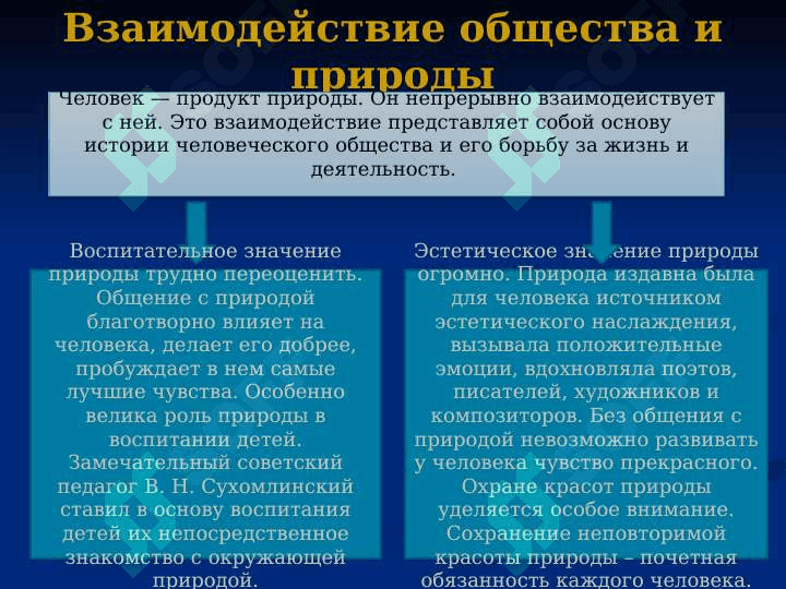 Природа и человек 8