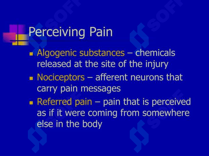 Chronic pain 4