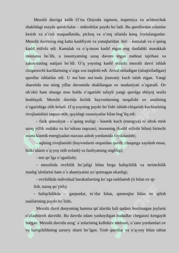 Mezolit davri arxeologiyasi 4