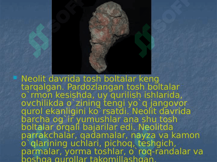 O`rta Osiyoda Neolit davri 7