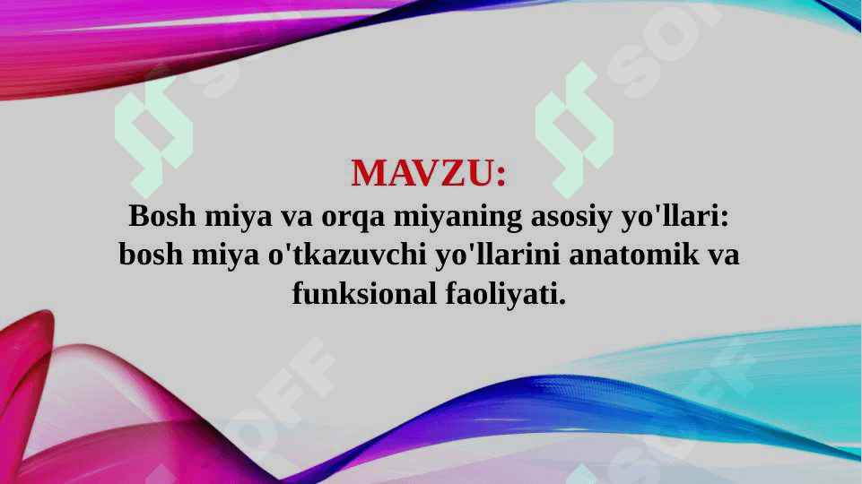 Bosh miya va orqa miyaning asosiy yo'llari: bosh miya o'tkazuvchi yo'llarini anatomik va funksional faoliyati. 2