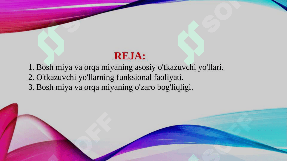 Bosh miya va orqa miyaning asosiy yo'llari: bosh miya o'tkazuvchi yo'llarini anatomik va funksional faoliyati. 3