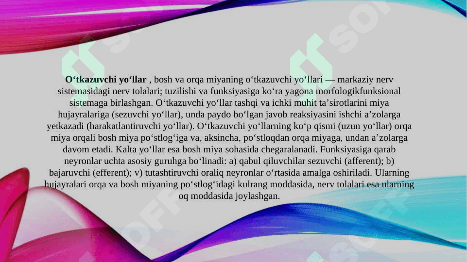 Bosh miya va orqa miyaning asosiy yo'llari: bosh miya o'tkazuvchi yo'llarini anatomik va funksional faoliyati. 4