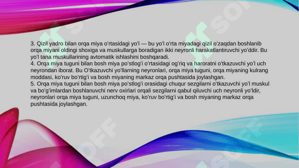 Bosh miya va orqa miyaning asosiy yo'llari: bosh miya o'tkazuvchi yo'llarini anatomik va funksional faoliyati. 6