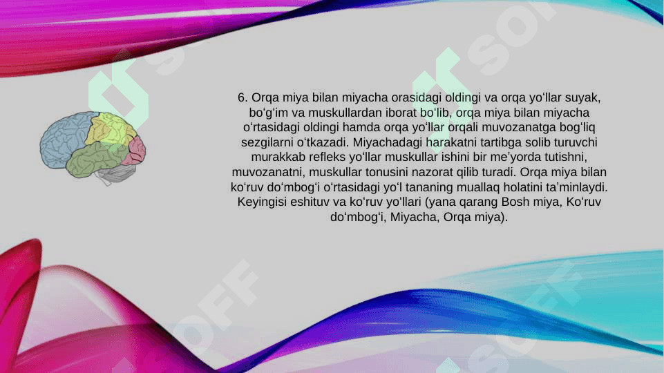 Bosh miya va orqa miyaning asosiy yo'llari: bosh miya o'tkazuvchi yo'llarini anatomik va funksional faoliyati. 7