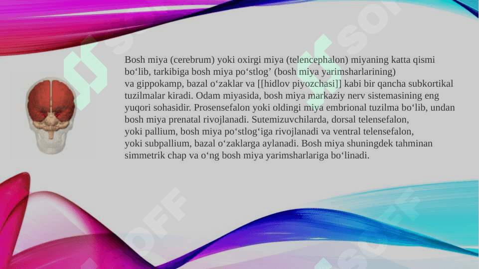 Bosh miya va orqa miyaning asosiy yo'llari: bosh miya o'tkazuvchi yo'llarini anatomik va funksional faoliyati. 8