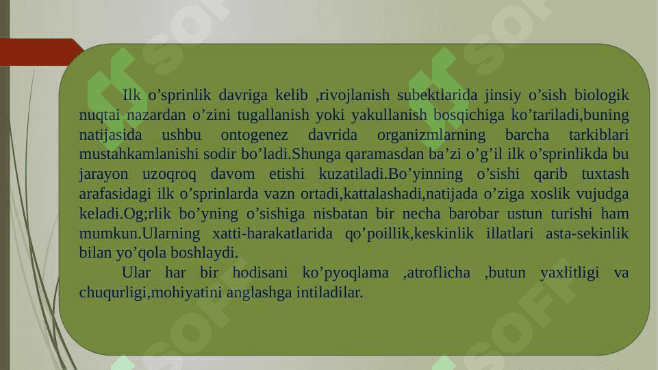 O’spirinlarda turmush haqidagi tasavvurlarni rivojlantirish.pptx 4