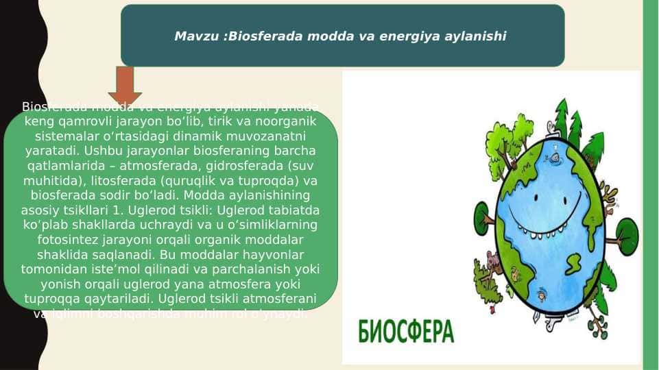 Biosferada modda va energiya aylanishi 1