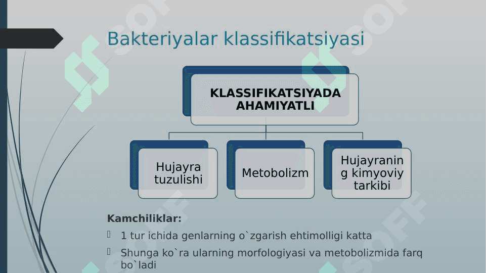 Bakteriyalarning “Berji” aniqlagichi 3