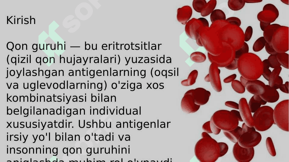 Qon Guruhlari 2