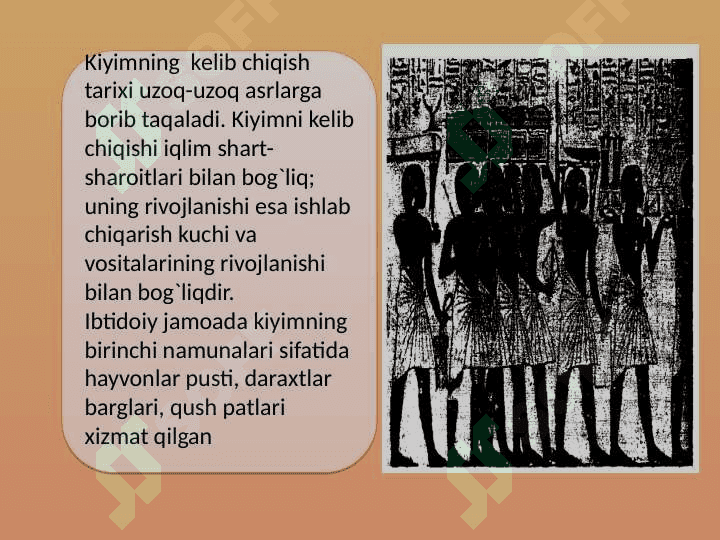 Kiyim funksiyasi 5