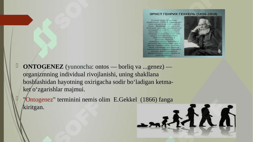 Inson psixikasinimg ontogenezda rivojlanishi 3