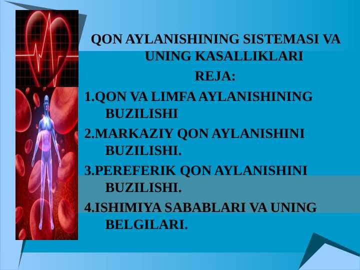 QON AYLANISHINING SISTEMASI VA UNING KASALLIKLARI 1