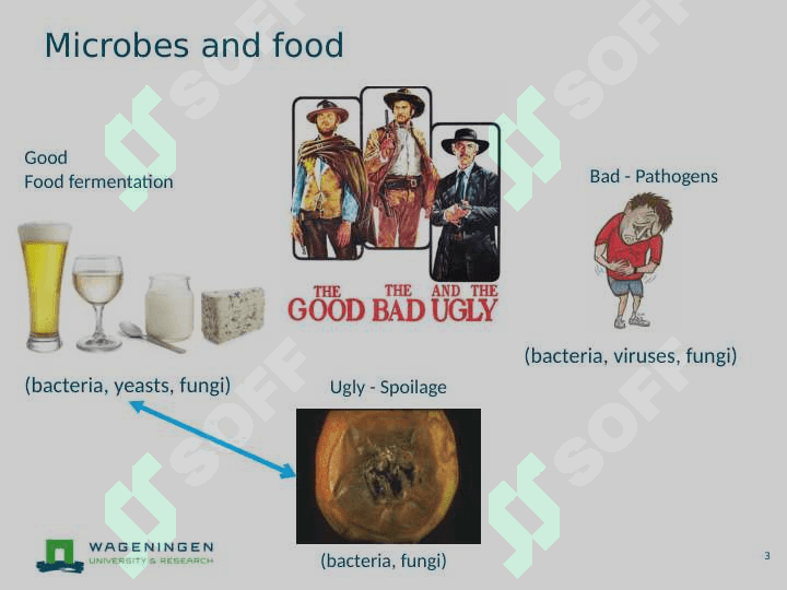 Microbial contaminants 3