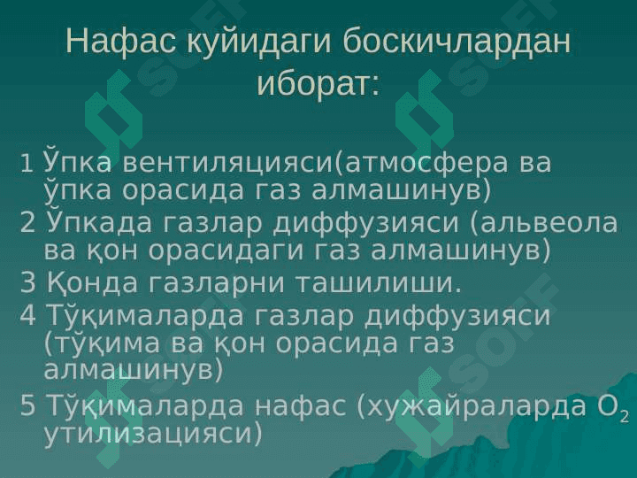 Nafas tizimining funksional xususiyatlari 5