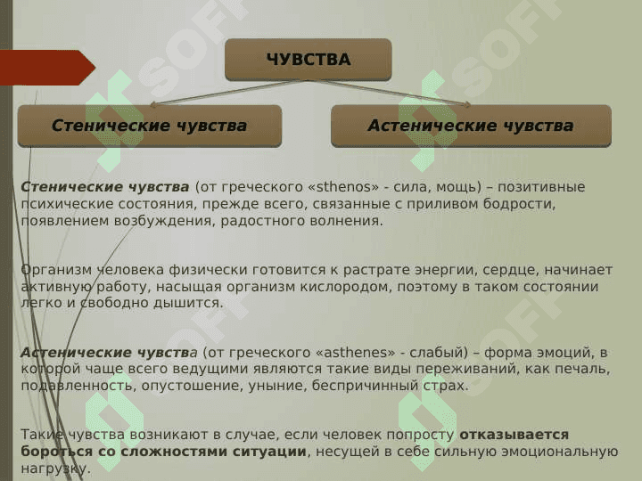 ТЕОРИИ  ЭМОЦИЙ 3