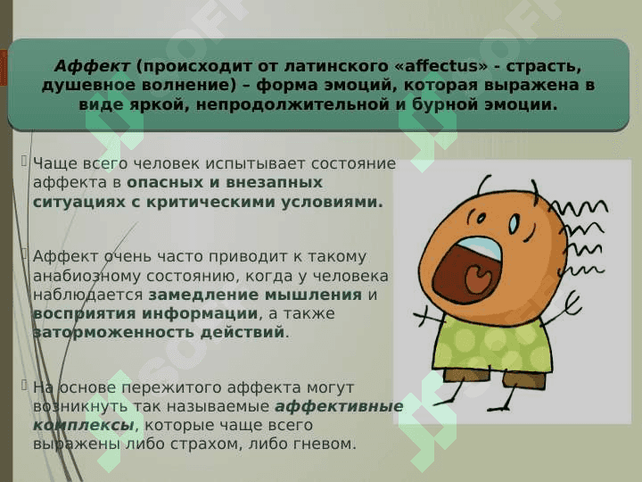 ТЕОРИИ  ЭМОЦИЙ 4