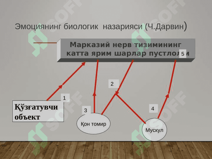 ЭМОЦИЯ ПСИХОЛОГИЯСИНИНГ НАЗАРИЙ ЁНДАШУВЛАРИ 5