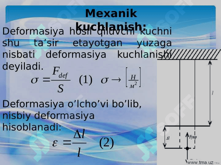 Qattiq jismlar va biologik to’qimalarning mexanik xossalari 6