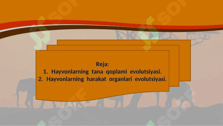 Hayvonlarning tana qoplami va harakat organlari evolutsiyasi 2